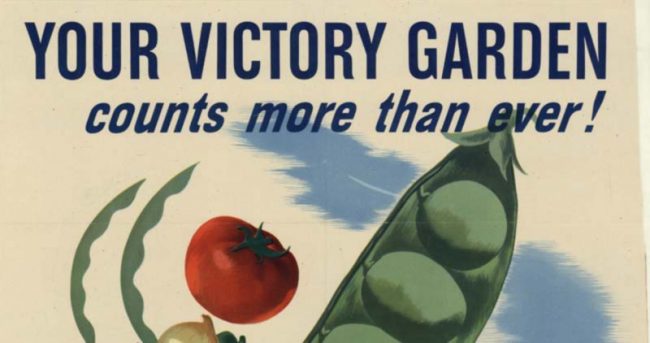 MAGIC Victory-garden