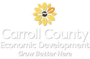 ccecondev_logofooter5